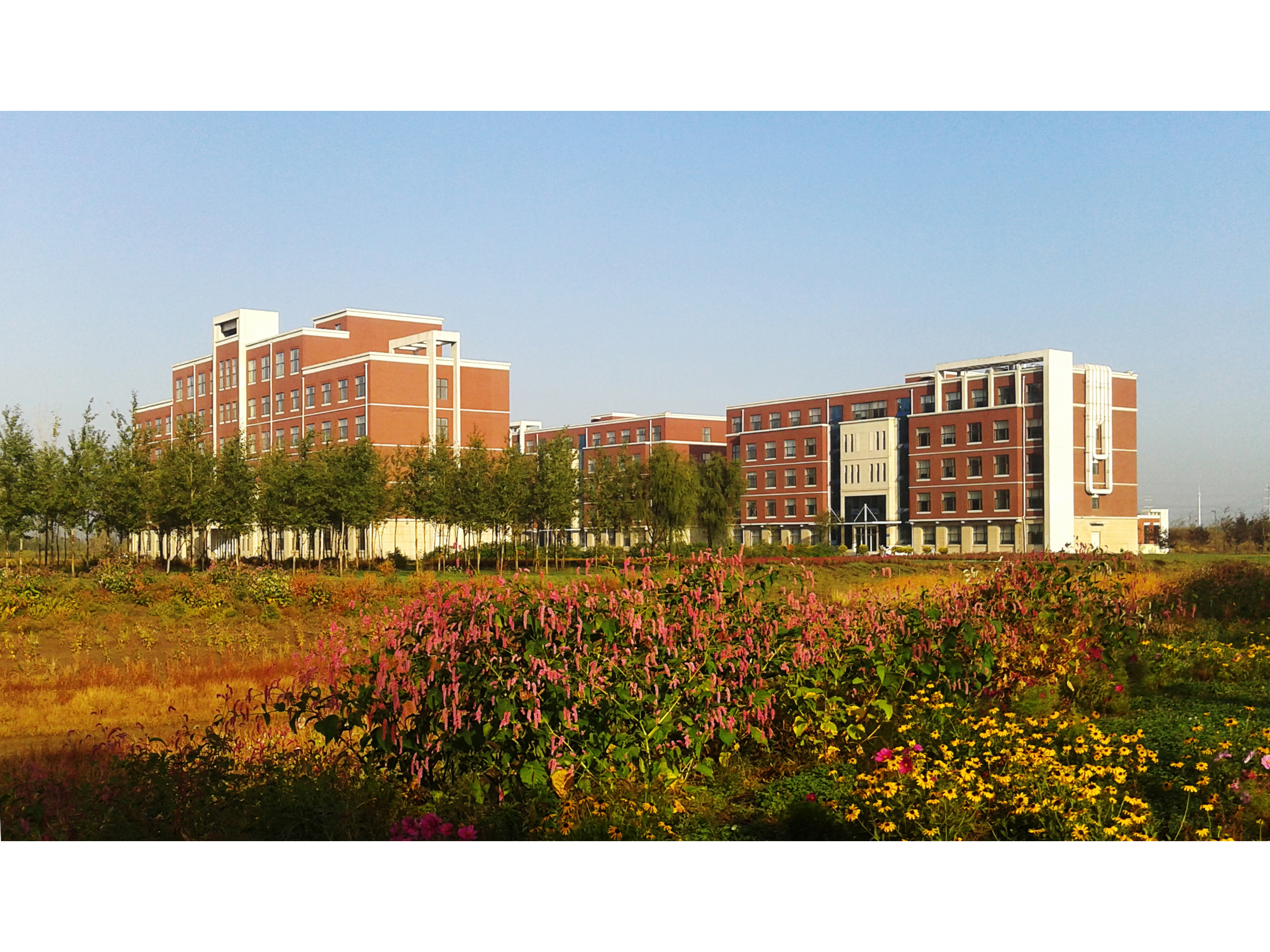 秋景（地理綜合樓、環(huán)境實驗樓、濕地實驗樓）