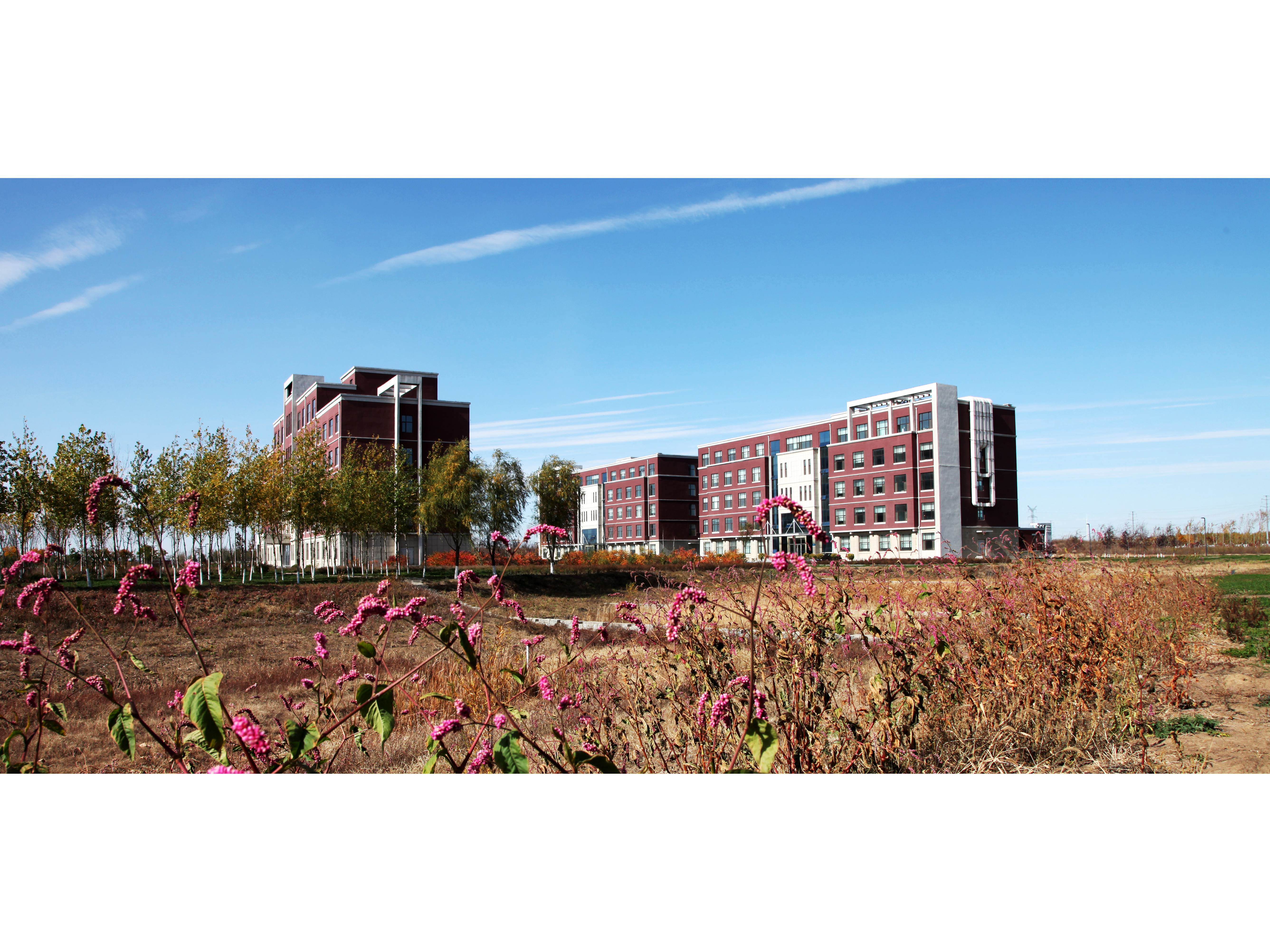 秋景（地理綜合樓、濕地樓、環(huán)境樓）