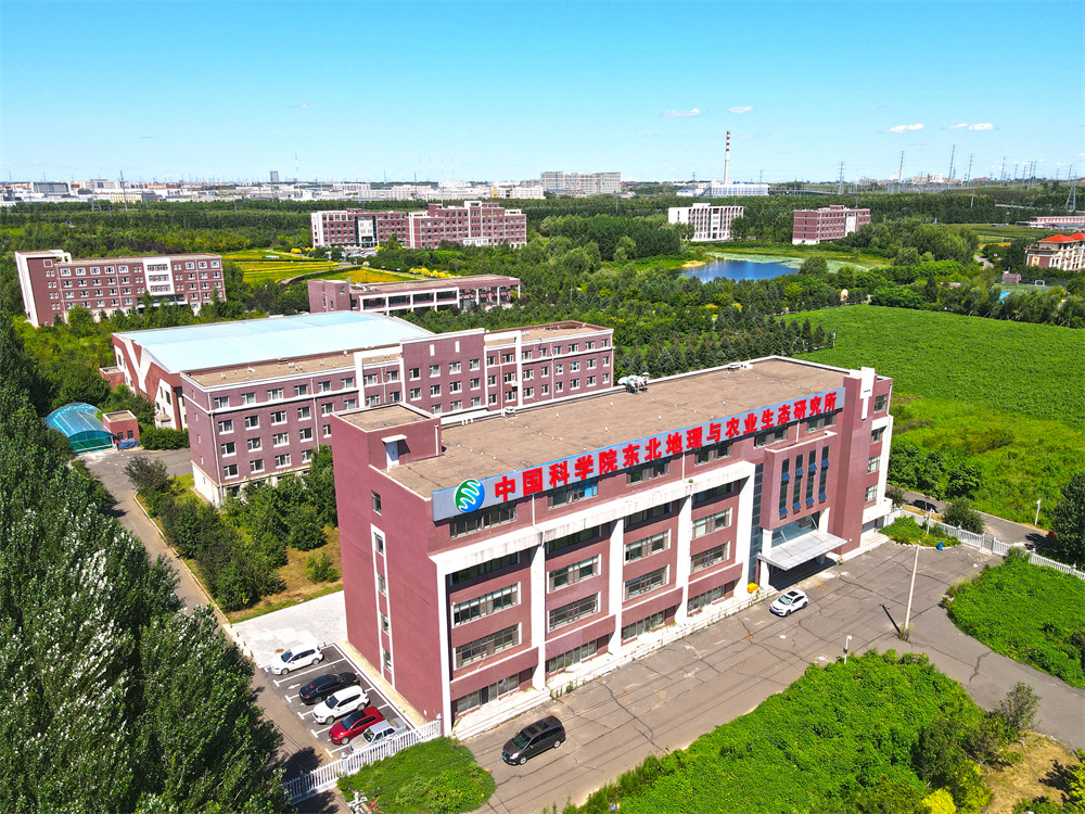 園區(qū)西側(cè)鳥(niǎo)瞰圖